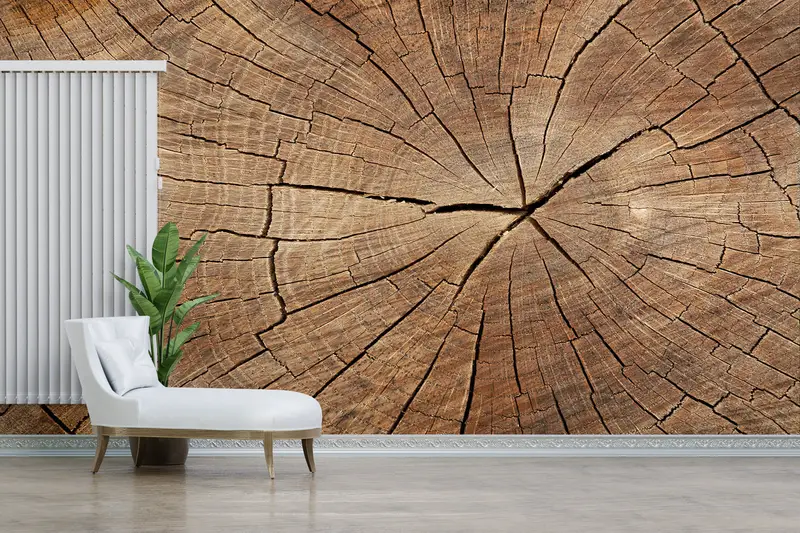 Modern Wall Print, Nature Mural, Abstract Wall Poster, Trendy Mural, Wood Crack Wall Mural, Tree Ring Wall Painting, - 8