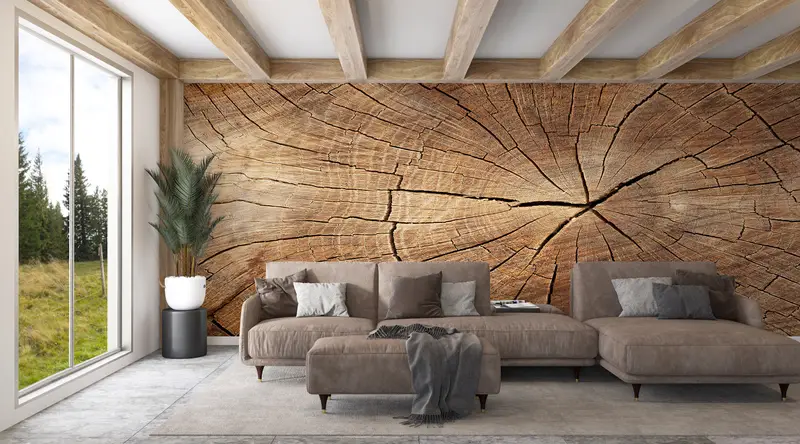 Modern Wall Print, Nature Mural, Abstract Wall Poster, Trendy Mural, Wood Crack Wall Mural, Tree Ring Wall Painting, - 2