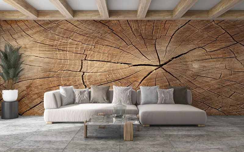 Modern Wall Print, Nature Mural, Abstract Wall Poster, Trendy Mural, Wood Crack Wall Mural, Tree Ring Wall Painting, - 9