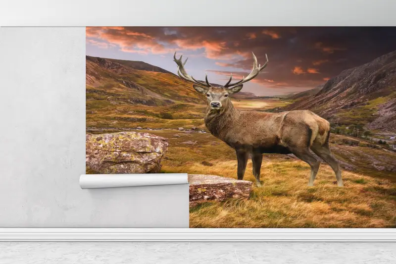 3D Wall Decor, Beautiful Deer Digital Paper, Mountain Wallpaper, Deer Wall Paper, Animal Wall Art, Wallpaper Peel And Stick, - 1