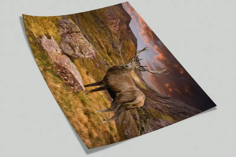 3D Wall Decor, Beautiful Deer Digital Paper, Mountain Wallpaper, Deer Wall Paper, Animal Wall Art, Wallpaper Peel And Stick, - 8
