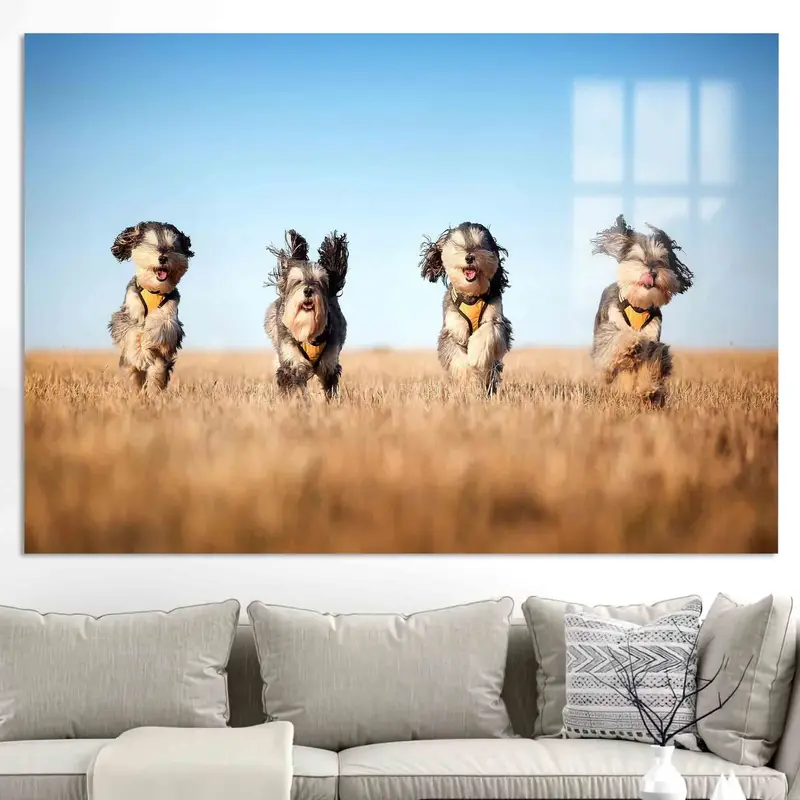 Impresión en lienzo elegante: cuatro perros lindos, regalo perfecto para los amantes de los perros