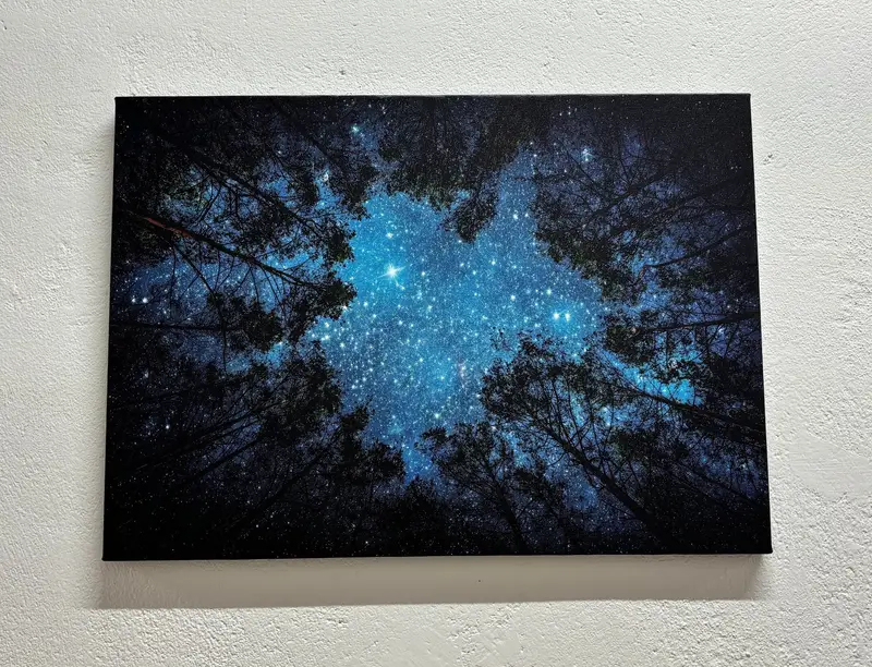 Enchanting Forest Night View Printed Canvas Art