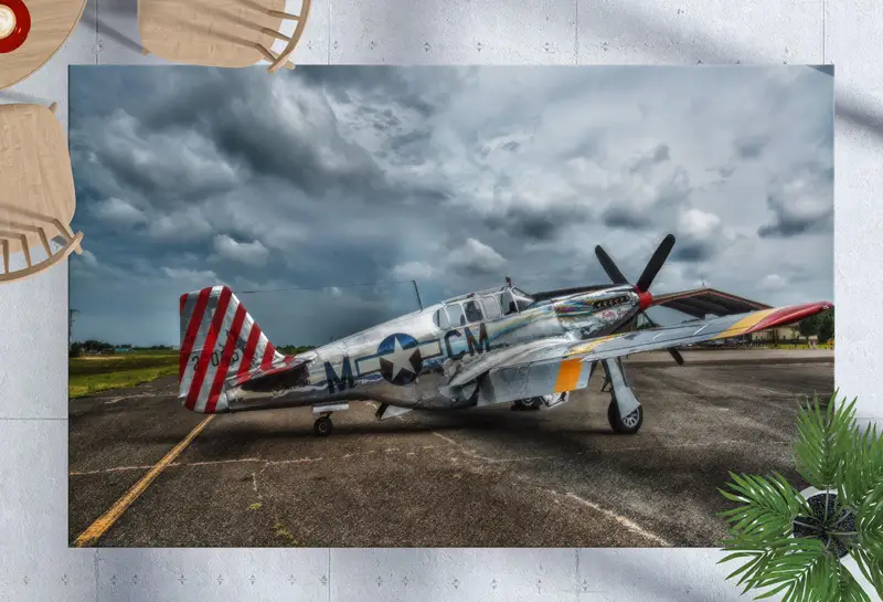 エレガントなプリントラグ：男の洞窟と寝室用の航空機デザイン