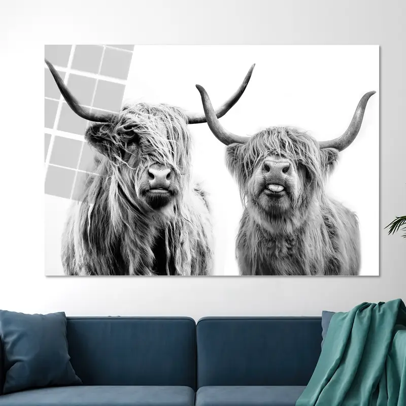 Modern İskoç Yaylası İnek Kanvas Tablo Tablo - Çiftlik Evi Dekoru