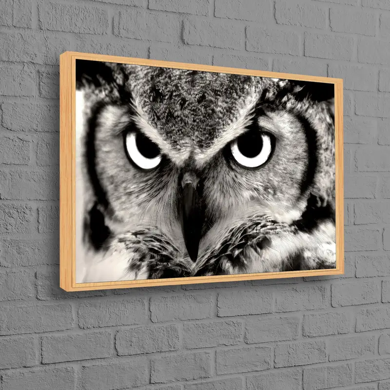 ロフト装飾用のエレガントなフクロウ愛好家の白黒キャンバス