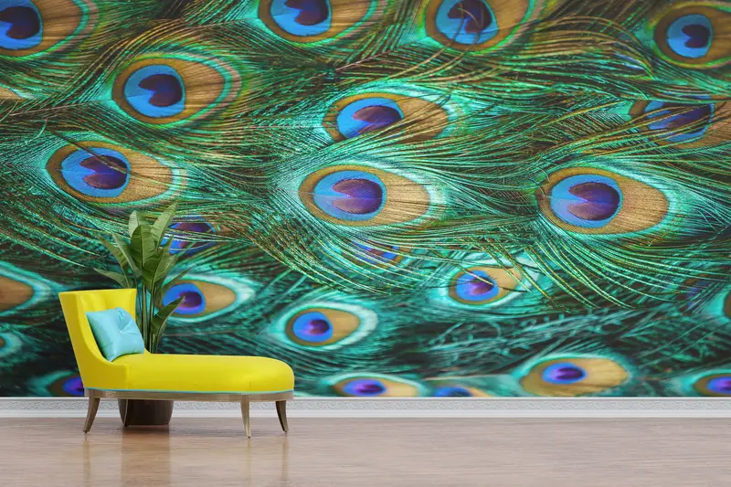Modern Tavuskuşu Tüyü Baskılı Duvar Kağıdı: Zarif, Trendy, Renkli Dekor