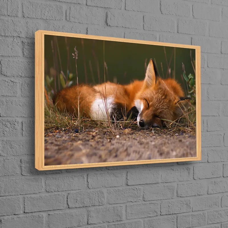 Encantador lienzo de zorro lindo: impresión artística de decoración de vida silvestre