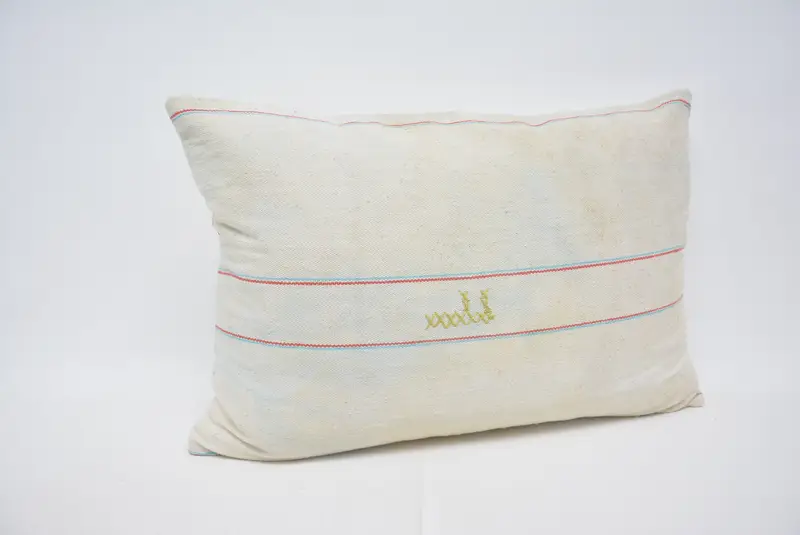 Geometric Embroidered Throw Pillow, 20x28 Inches Size Pillow - 3