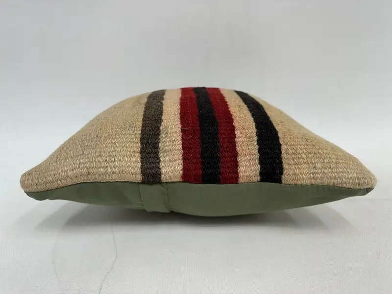 Beige & Brown Embroidered Stripe Throw Pillow, 12x12 Inches Decorative Pillow - 5
