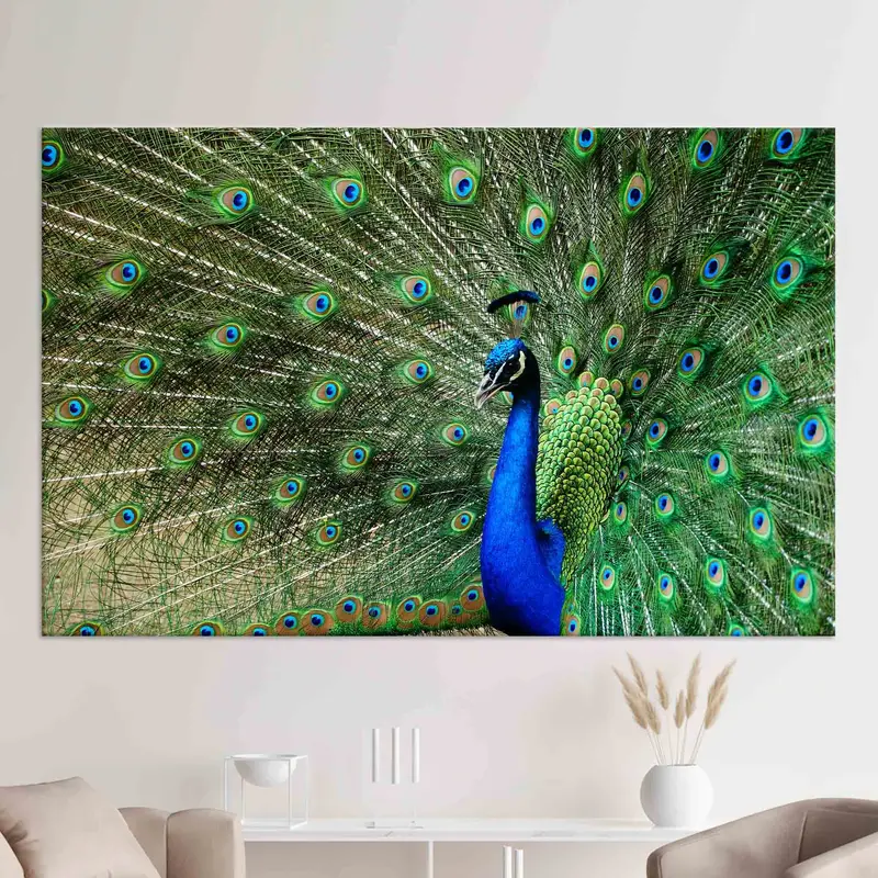 Peacock Wall Art, Huge Canvas, Feather Wall Art, Beautiful Peacock Wall Art, Trendy Wall Decor, Modern Canvas Art, Living Room Wall Art, - 6