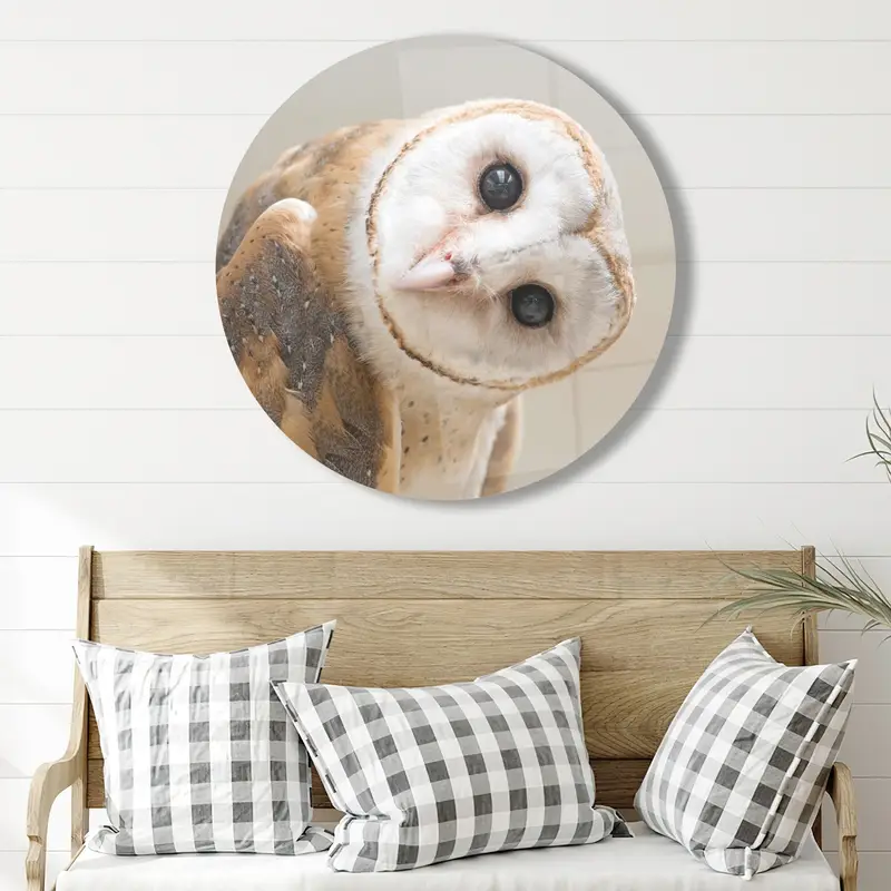 Modern Owl Printed Glass: Contemporary Elegance for Owl Lovers