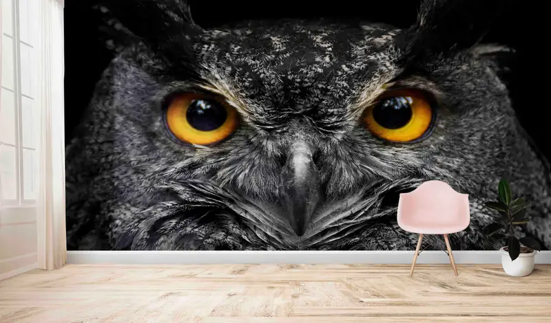 Elegante, schwarz-weiß bedruckte Tapete mit Eulenaugen für das Loft-Büro