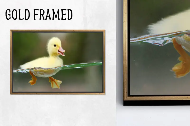 Modern Sevimli Ördek Kanvası: Trendy Banyo ve Çocuk Odası Sanatı