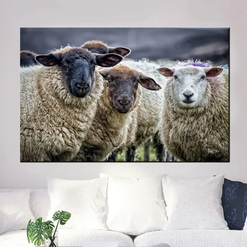 Elegant Coastal Farmhouse Canvas: Cute Sheep in Loft Setting