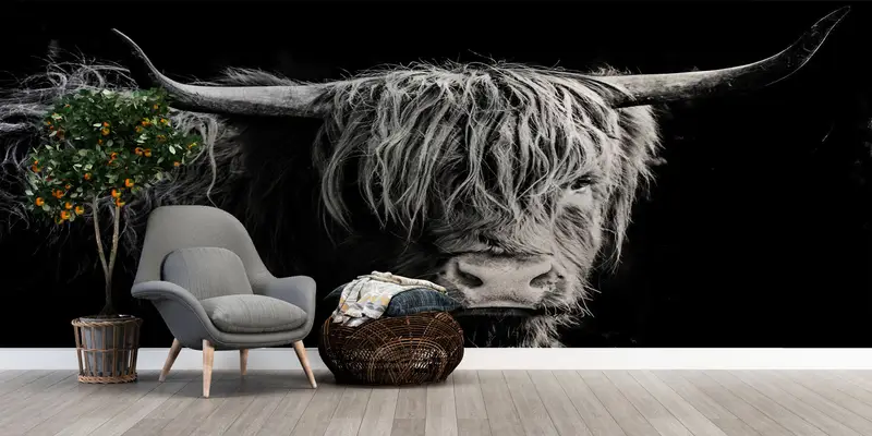 Bull, Cow Wall Paper, Scottish Highland Cattle Wall Mural, Wildlife Wallpaper, Wild Bull Wall Art, Horned Bull Wall Mural, - 3