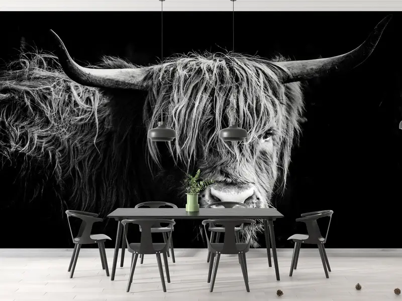 Bull, Cow Wall Paper, Scottish Highland Cattle Wall Mural, Wildlife Wallpaper, Wild Bull Wall Art, Horned Bull Wall Mural, - 5