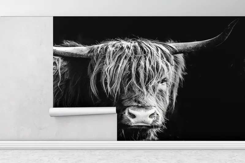 Bull, Cow Wall Paper, Scottish Highland Cattle Wall Mural, Wildlife Wallpaper, Wild Bull Wall Art, Horned Bull Wall Mural, - 1