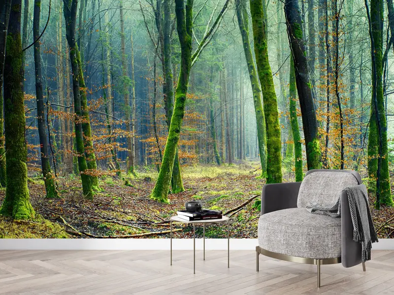 Elegante bedruckte Waldlandschaftstapete – Nature's Serenity