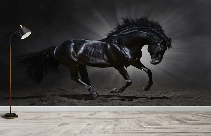 Zarif Siyah At Baskılı Duvar Kağıdı: Modern Loft Dekor