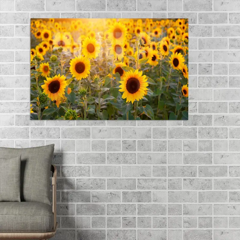 Modern Çiftlik Evi Mutfağı için Zarif Ayçiçeği Tarlası Baskılı Cam