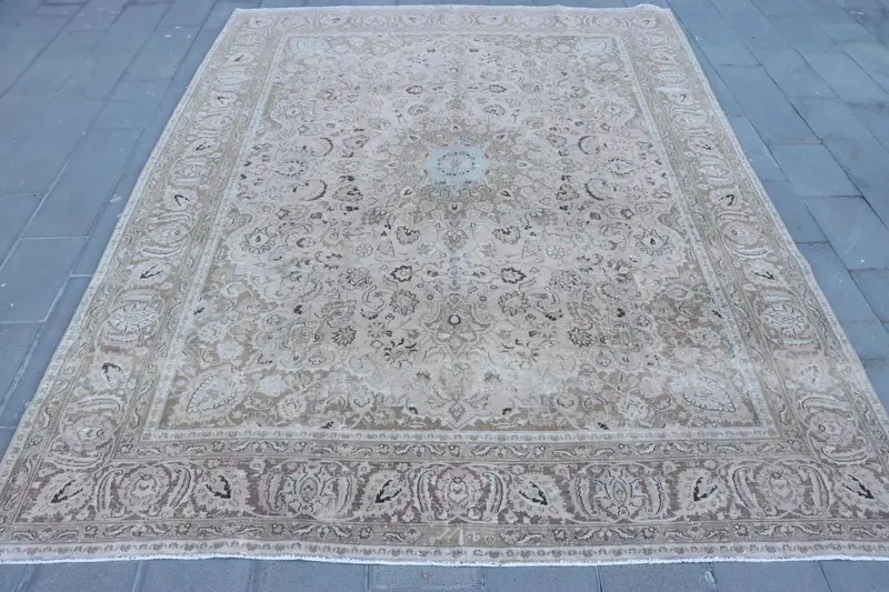 Eleganter beigefarbener Teppich, 9,4 x 12,3 Fuß, massiv mit braunen Akzenten