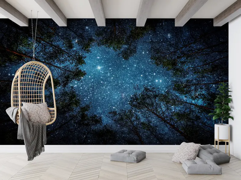 Zarif Baskılı Duvar Kağıdı: Gece Gökyüzü Orman Manzarası Görünümü