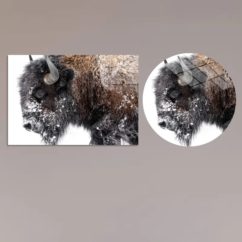 Elegant Buffalo Winter Snow Scene Printed Canvas Art