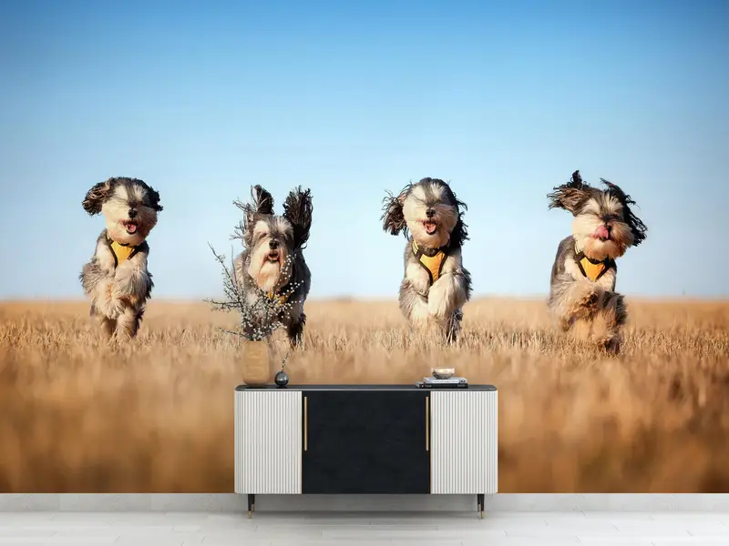 Paper Wall Art ,Four Cute Dogs Wall Decor,Dog Wall Decor,Bright Wall Paper,3d Wall Paper,Cute Running Dogs,Animal Wall Paper, - 2