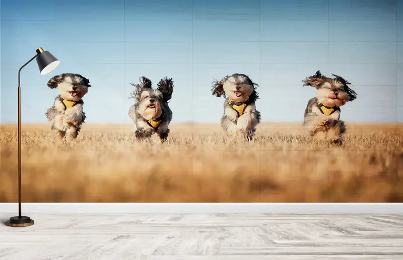 Paper Wall Art ,Four Cute Dogs Wall Decor,Dog Wall Decor,Bright Wall Paper,3d Wall Paper,Cute Running Dogs,Animal Wall Paper, - 4