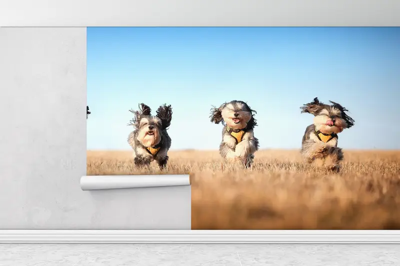 Paper Wall Art ,Four Cute Dogs Wall Decor,Dog Wall Decor,Bright Wall Paper,3d Wall Paper,Cute Running Dogs,Animal Wall Paper, - 1
