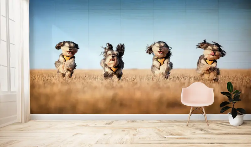 Paper Wall Art ,Four Cute Dogs Wall Decor,Dog Wall Decor,Bright Wall Paper,3d Wall Paper,Cute Running Dogs,Animal Wall Paper, - 5