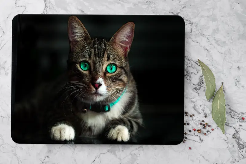 黒猫プリントのガラスまな板、農家のキッチンの必需品