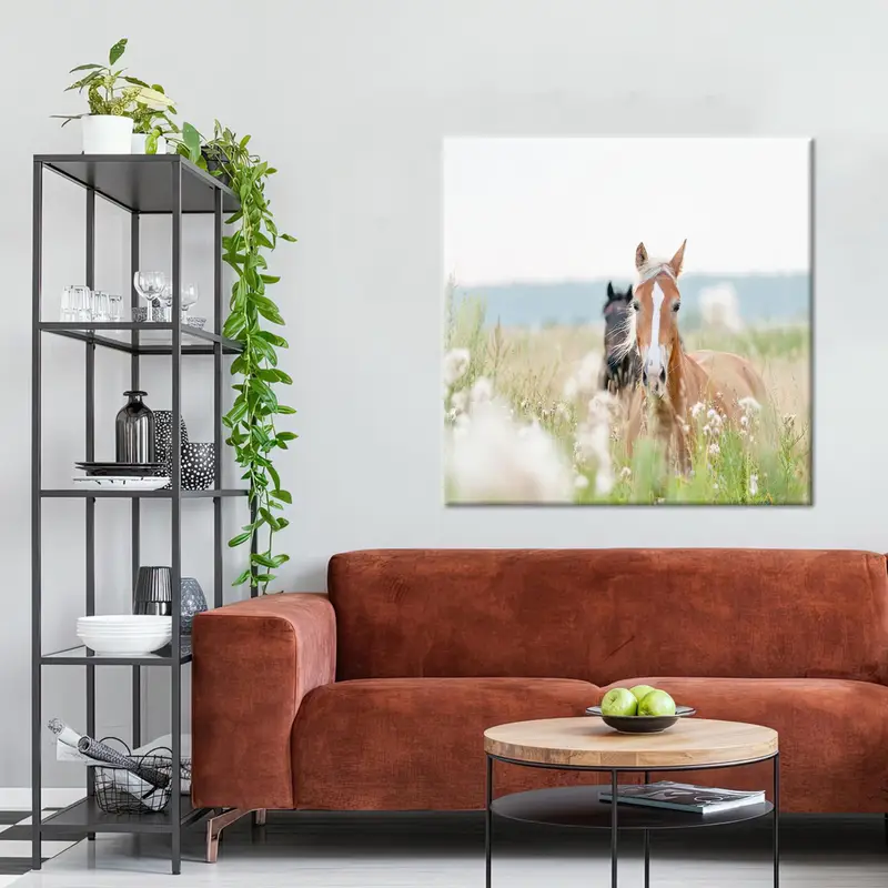 二頭の馬の海岸沿いのファームハウス キャンバス プリント - エレガントなウォールアート