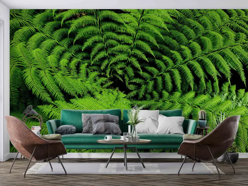 Botanical Wall Print, Vinyl Wallpaper, 3D Wallpaper, Shield Fern Wall Paper, Fern Wallpaper, Pteridophyte Wall Poster, 3D Paper Wall Art, - 1