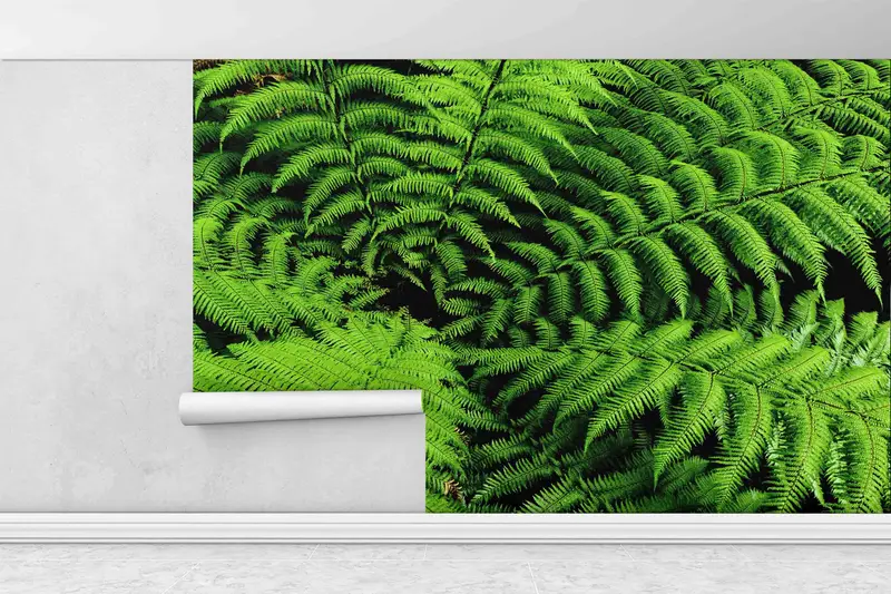 Botanical Wall Print, Vinyl Wallpaper, 3D Wallpaper, Shield Fern Wall Paper, Fern Wallpaper, Pteridophyte Wall Poster, 3D Paper Wall Art, - 3