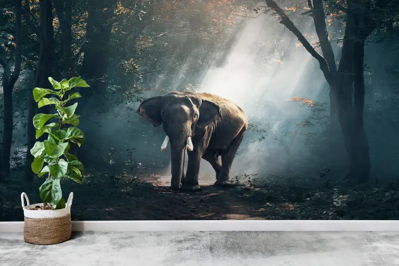 Fil Ormanı Orman Duvar Kağıdı: Lüks Baskılı Doğa Dekoru