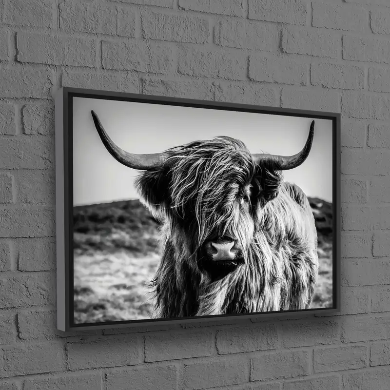 Elegante lienzo de vaca escocesa: decoración de cueva de hombre en blanco y negro