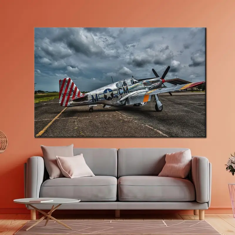 エレガントなプリント キャンバス: マン ケイブのアメリカン プレーン アート