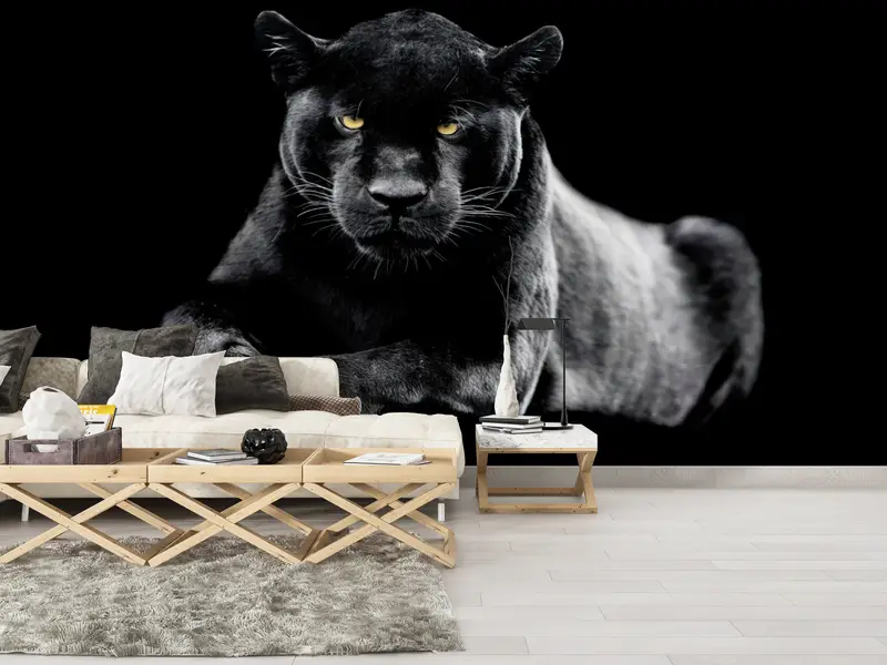 Zarif Kara Panter Baskılı Duvar Kağıdı: Modern Loft Dekor