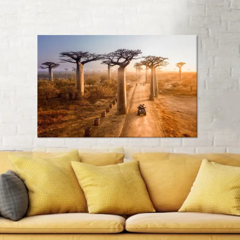 Madagascar Tree Canvas: Elegant Farmhouse Decor Print
