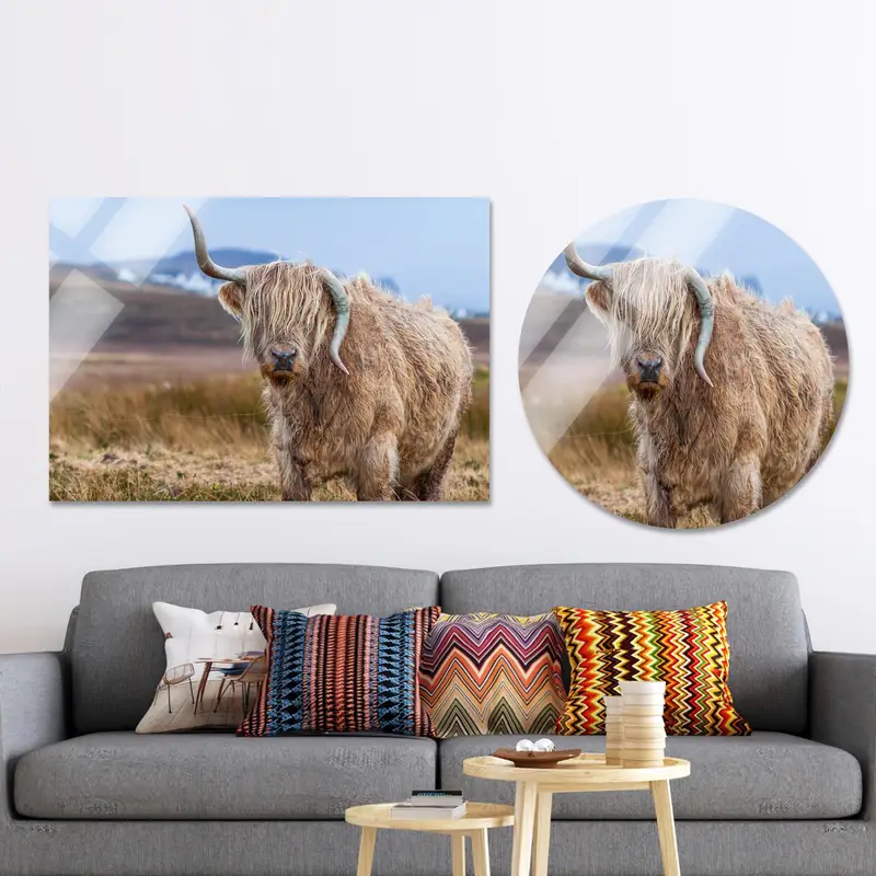 Lienzo elegante de granja de vacas de las Tierras Altas: decoración de una granja costera