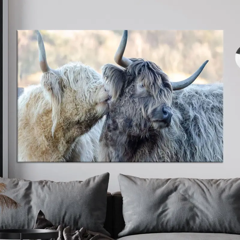 Elegante Bauernhaus-Leinwand: Ochsen- und Kuhliebe auf rustikalem Bauernhof
