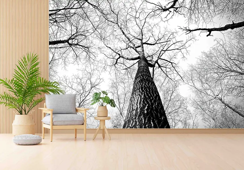 Papel pintado estampado elegante con vistas al bosque en blanco y negro