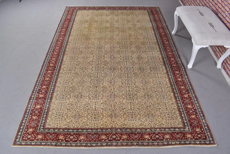 Zarif Bej ve Kırmızı Halı, 5,2x9,5 ft Soyut Tasarım