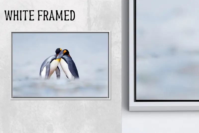 エレガントなペンギンの雪のキャンバス: Winter Love アート プリント