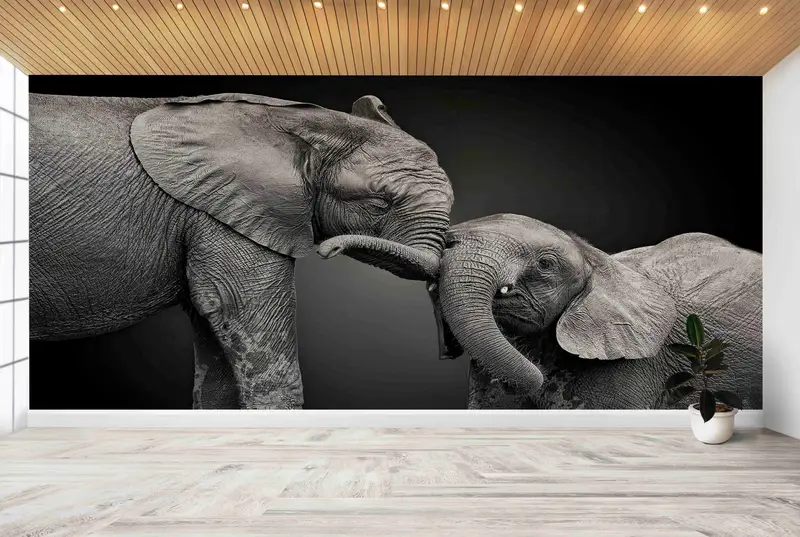 Elegante bedruckte Tapete: Zwei Elefanten in Grautönen
