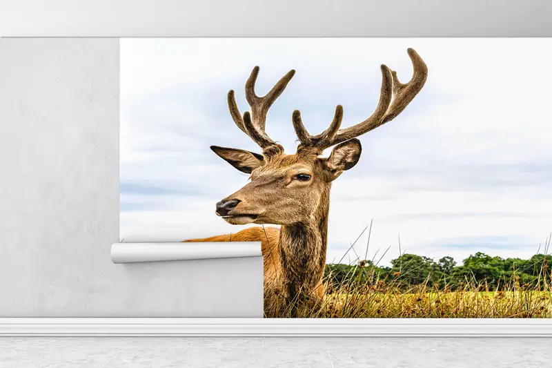 Paper Wall Art, Modern Wall Paper, , Safari Wall Painting, Caribou Wallpaper, 3d Wall Paper, American Deer Wall Painting, - 5
