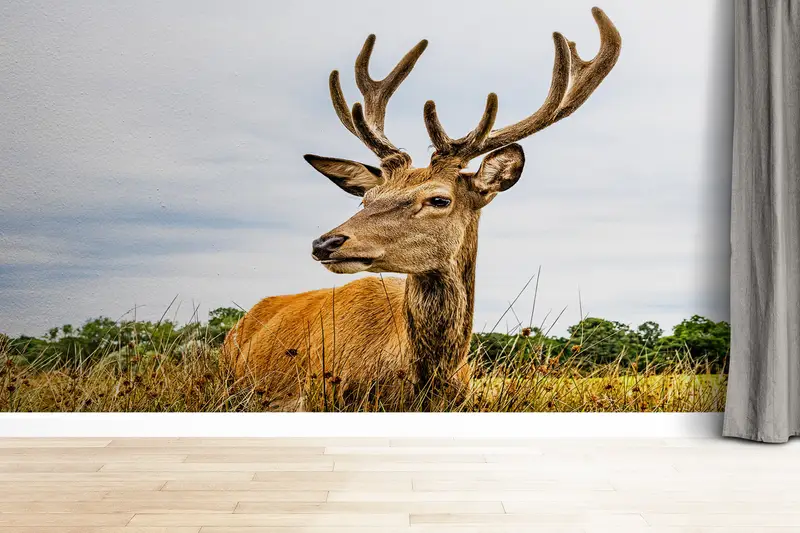 Paper Wall Art, Modern Wall Paper, , Safari Wall Painting, Caribou Wallpaper, 3d Wall Paper, American Deer Wall Painting, - 1