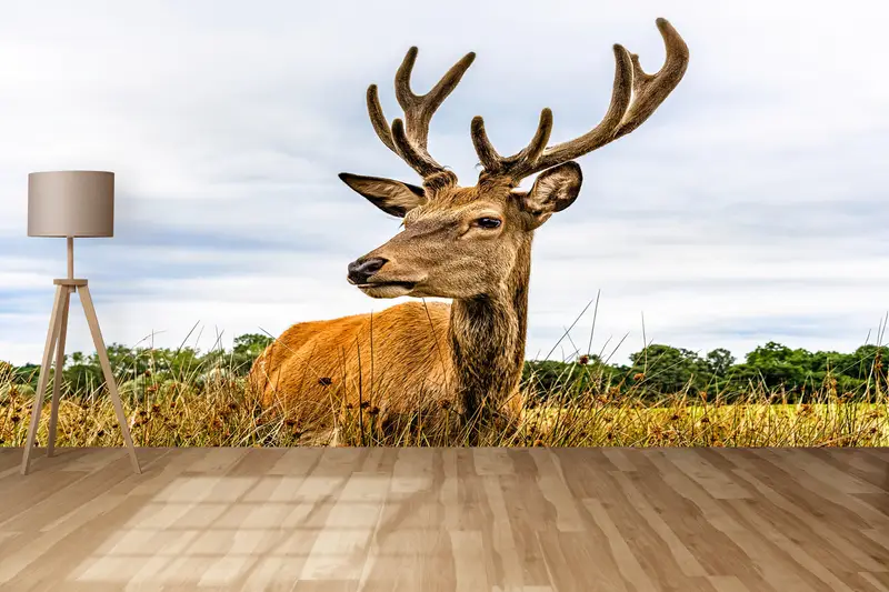 Paper Wall Art, Modern Wall Paper, , Safari Wall Painting, Caribou Wallpaper, 3d Wall Paper, American Deer Wall Painting, - 8